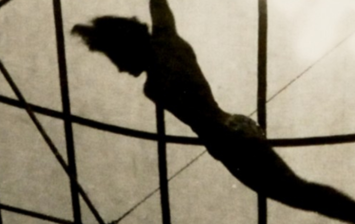 Exposition Tout un cirque